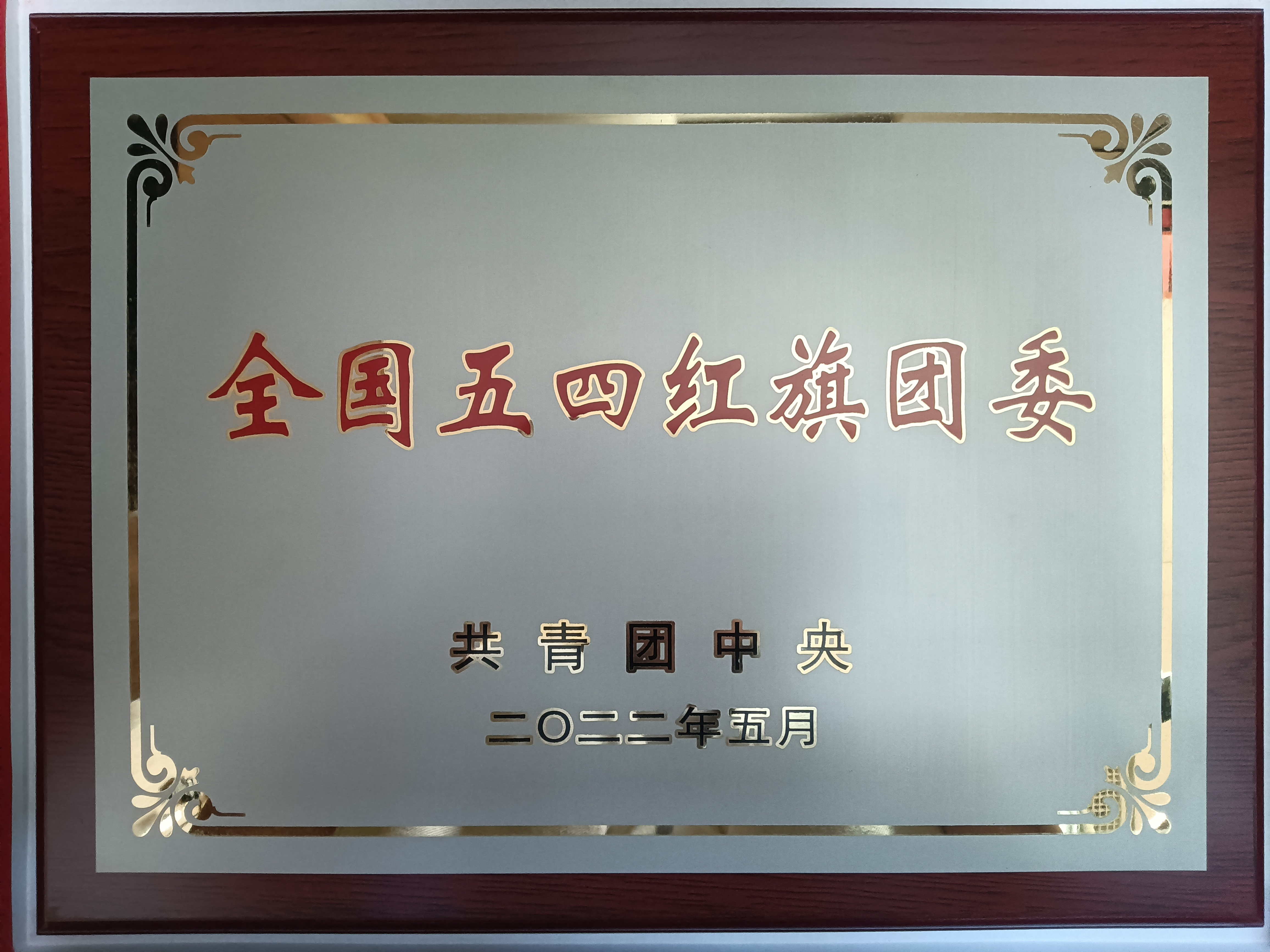 青春当燃！2022，华球体育（中国）科技公司青年这样走过