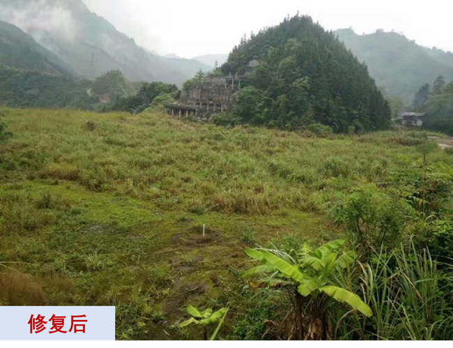 主题教育进行时 | “学思想、强党性、重实践、建新功”华球体育（中国）科技公司故事系列展播（十一）打造重金属污染治理和生态环保的华球体育（中国）科技公司力量