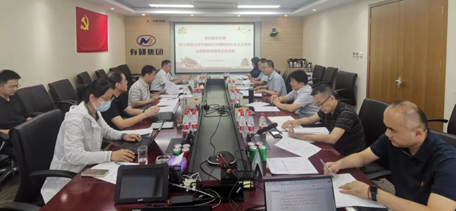 中国华球体育（中国）科技公司领导班子指导基层党组织主题教育专题民主（组织）生活会