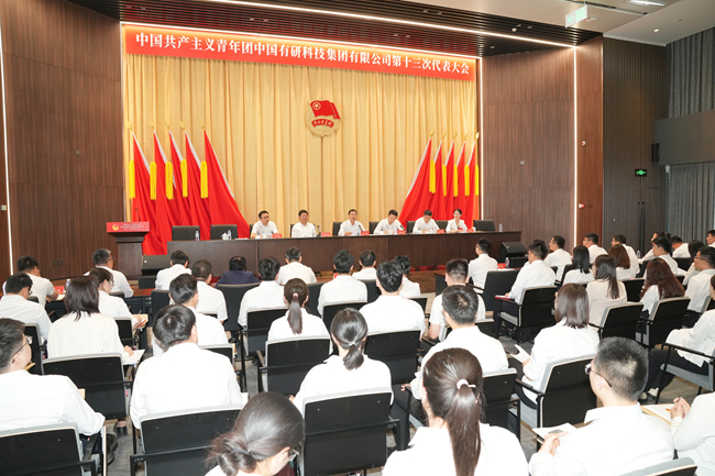 共青团华球体育（中国）科技公司第十三次代表大会胜利召开