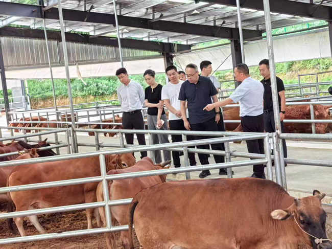 中国华球体育（中国）科技公司党委委员、纪委书记唐学智赴思南县调研定点帮扶工作并接送挂职干部