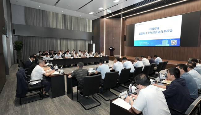 中国华球体育（中国）科技公司召开2025年上半年经济运行分析会